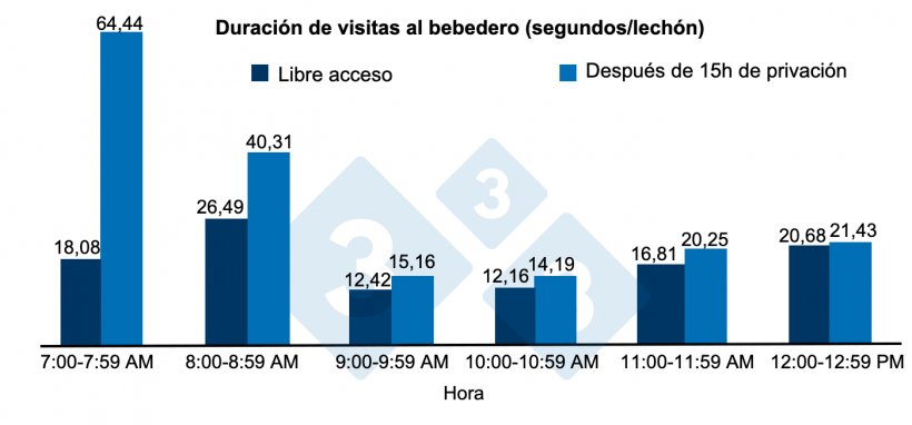 Figura 2.&nbsp;Duraci&oacute;n de visitas&nbsp;al bebedero (segundos) por lech&oacute;n despu&eacute;s de 15 horas de privaci&oacute;n o libre acceso al agua.
